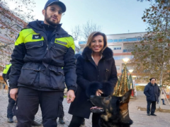 Il cane Billy in servizio a Falconara